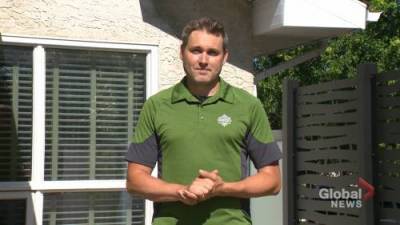 What the Deck: Privacy - globalnews.ca