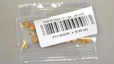 Mystery solved: Those strange seeds sent from China to Florida have been identified - clickorlando.com - China - state Florida