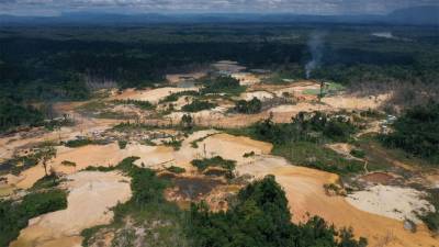 Jair Bolsonaro - Illegal deforestation in Brazil soars amid climate of impunity - sciencemag.org - Brazil