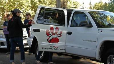 Red Paw Emergency Relief Team to cease their operation in October - fox29.com - city Philadelphia