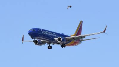Southwest Airlines no longer cleaning armrests, seat belts between flights - fox29.com - Usa