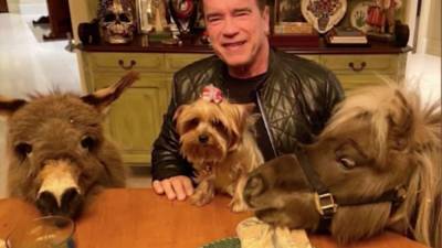Arnold Schwarzenegger - Arnold Schwarzenegger describes quarantine life with pet donkey and mini horse - fox29.com - Los Angeles - Netherlands