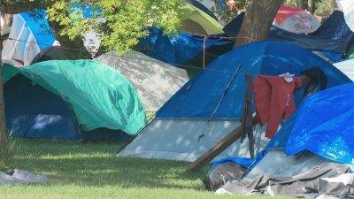 Chris Chacon - Edmonton community residents concerned about crime as encampment reaches capacity - globalnews.ca