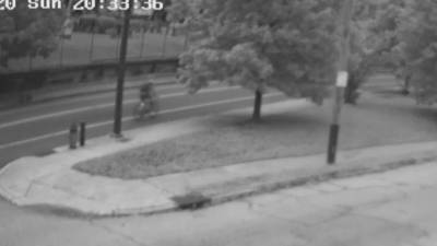 New surveillance video released in deadly hit-and-run - fox29.com