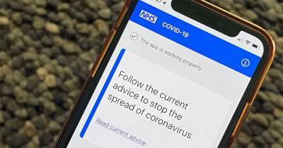 NHS coronavirus app for contact-tracing will launch on September 24 after long delay - mirror.co.uk - Britain - state Indiana - county Isle Of Wight