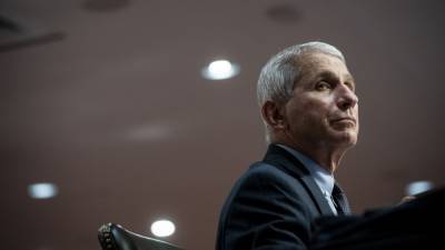 Anthony Fauci - ‘Don’t try and look at the rosy side of things’: Fauci says US must ‘hunker down’ for COVID-19-fraught winter - fox29.com - Usa - Washington