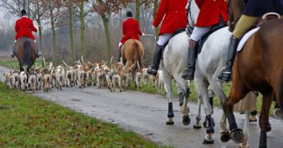 Outrage as Tory council gives £50,000 to help fox hunters survive coronavirus crisis - mirror.co.uk