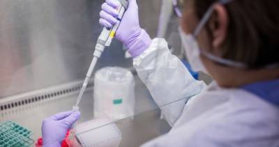 Canada adds more than 500 new coronavirus cases on Saturday - globalnews.ca - Canada - county Ontario