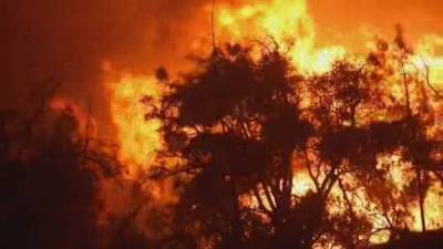 Wildfires rage along U.S. west coast, thousands flee - globalnews.ca - state California - Washington - state Oregon