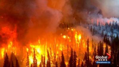 Abandoned campfire caused wildfire near Canmore: investigators - globalnews.ca