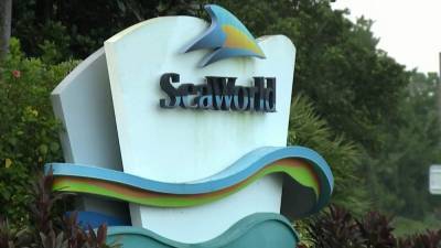 SeaWorld lays off nearly 2,000 workers due to COVID-19 pandemic - clickorlando.com - state Florida