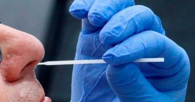 Waterloo Region reports 7 new coronavirus cases, new outbreak - globalnews.ca