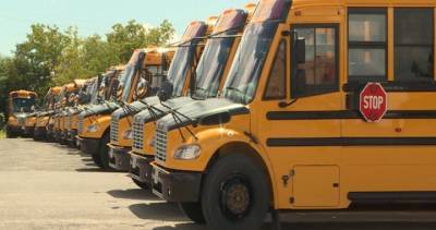 Cancellations, delays plague Hamilton school bus routes - globalnews.ca