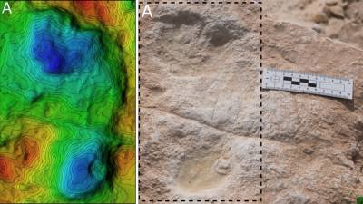 These 120,000-year-old footprints offer early evidence for humans in Arabia - sciencemag.org - Saudi Arabia