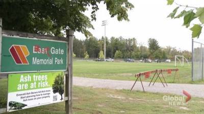 Peterborough drive-through testing clinic relocating to Eastgate Memorial Park - globalnews.ca