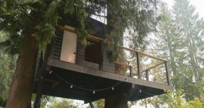 North Vancouver - North Vancouver dad fighting city hall to save pandemic-built tree fort - globalnews.ca