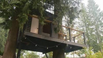 Catherine Urquhart - North Vancouver father fights city hall over tree fort - globalnews.ca