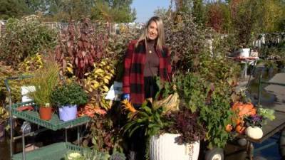 Creating fall colour in your garden - globalnews.ca - Netherlands