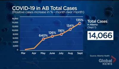 By the numbers: 6 months of COVID-19 in Alberta - globalnews.ca