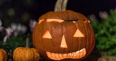 Scots mums back 'pumpkin trail' idea after Nicola Sturgeon warns Halloween may be cancelled due to Covid-19 - dailyrecord.co.uk - Scotland