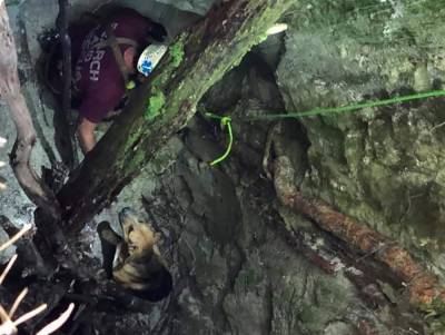 Dog trapped in 30-foot hole lured to safety with beef jerky - clickorlando.com - state North Carolina - county Burke