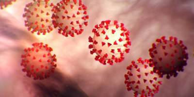 CDC Confirms 14th Case of 2019 Novel Coronavirus - cdc.gov - province Hubei - Usa - state California