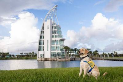 Coffee table book featuring Space Coast pups to benefit Canine Companions for Independence - clickorlando.com - state Florida - county Brevard