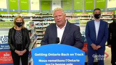 Doug Ford - Coronavirus: Health Canada ‘sitting on their hands’ when it comes to testing, Ford says - globalnews.ca - Canada
