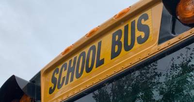 Hamilton school boards to start ‘planned’ cancellation of bus routes - globalnews.ca