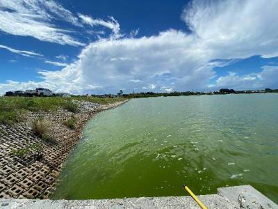 Don Walker - Algae blooms turn Indian River Lagoon green and stinky, again - clickorlando.com - state Florida - county Brevard - county Indian River - city Titusville
