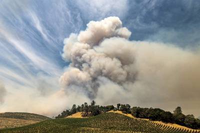 Wildfires taint West Coast vineyards with taste of smoke - clickorlando.com - state California - Washington - state Oregon - county Turner