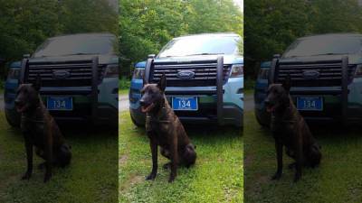 Police K9 tracks down missing Kindergartner lost in Maine woods - fox29.com - Netherlands - state Maine - county Manatee