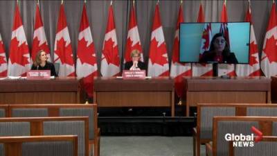 Filomena Tassi - Bill 100 (100) - Coronavirus: Labour Minister details Bill C2 components including stay at home, caregiving benefits - globalnews.ca - Canada