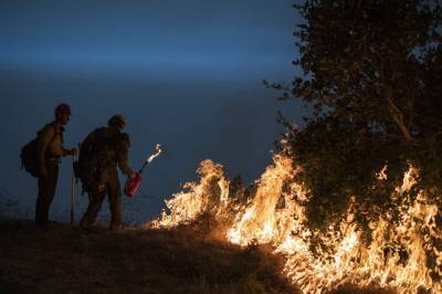 Largest California wildfire threatens marijuana-growing area - clickorlando.com - Los Angeles - state California - county Trinity - city Sacramento