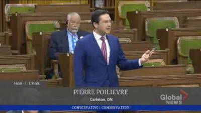Pierre Poilievre - Coronavirus: Conservative MP and Liberal finance minister exchange on government’s COVID-19 economic response - globalnews.ca - Canada