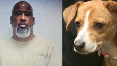 Police arrest suspect accused of throwing puppy across parking lot - fox29.com - Georgia