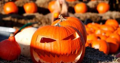 Halloween sales could be weak with COVID-19 casting doubts on trick-or-treating - globalnews.ca