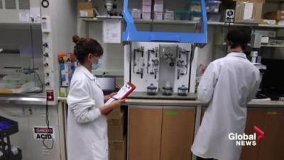 Alberta researchers at forefront of fight against COVID-19 - globalnews.ca