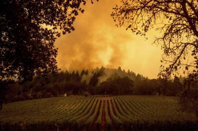 California's wine country residents face fire fatigue - clickorlando.com - state California - county Sonoma - county Santa Rosa
