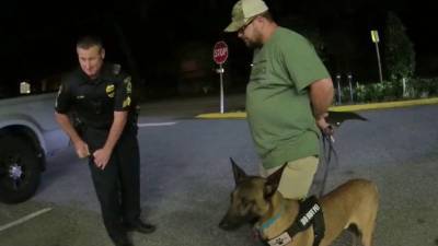 Florida bar tells veterans: Your service dogs can stay but you must leave - clickorlando.com - Germany - state Florida - county Orange