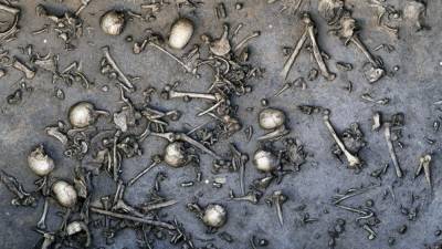 Warrior skeletons reveal Bronze Age Europeans couldn’t drink milk - sciencemag.org - Germany - Poland - Czech Republic