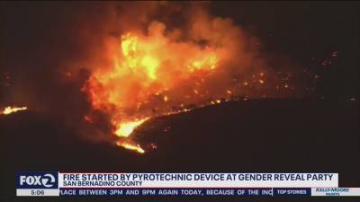 California wildfire started because of pyrotechnics at gender reveal party: CalFire - fox29.com - state California - county Park - county El Dorado - county San Bernardino