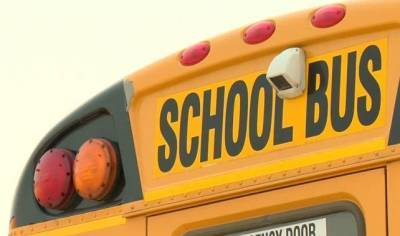 Southwestern Ontario STS warns of possible school bus service disruptions - globalnews.ca