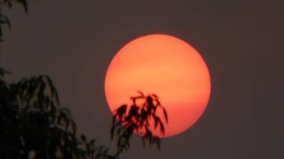 An eerie phenomenon: Wildfires cause sun, moon to glow red in Arizona - fox29.com - state Arizona