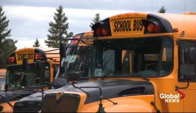 COVID-19 fears, extra training to blame for school bus driver shortage in Edmonton - globalnews.ca