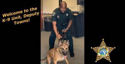Rick Staly - Name that K-9: Flagler County Sheriff’s Office asks for help naming newest deputy - clickorlando.com - state Florida - county Flagler - Belgium - county Page - city Deputy