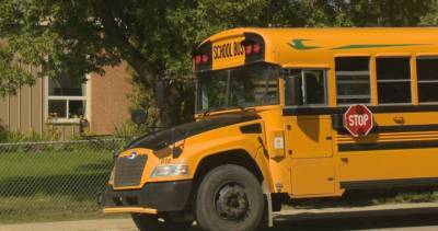 Hamilton school boards say data will be key in solving school bus driver shortage - globalnews.ca
