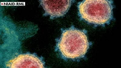 5 cases of UK coronavirus variant found in Minnesota: officials - foxnews.com - Britain - state Minnesota - city Twin