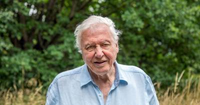 queen Elizabeth - David Attenborough - Sir David Attenborough, 94, is latest national treasure to receive Covid-19 vaccine - mirror.co.uk - Britain