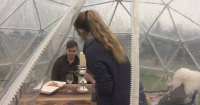 Fraser Valley winery adapts to COVID-19 with wine tasting domes - globalnews.ca